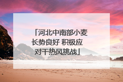 河北中南部小麦长势良好 积极应对干热风挑战