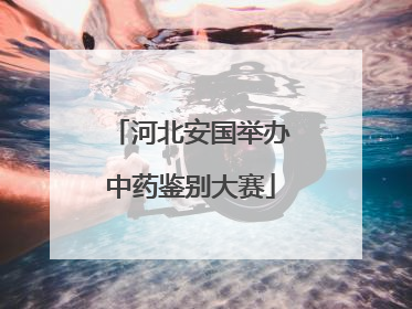 河北安国举办中药鉴别大赛