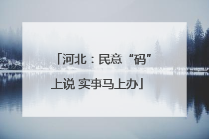 河北：民意“码”上说 实事马上办