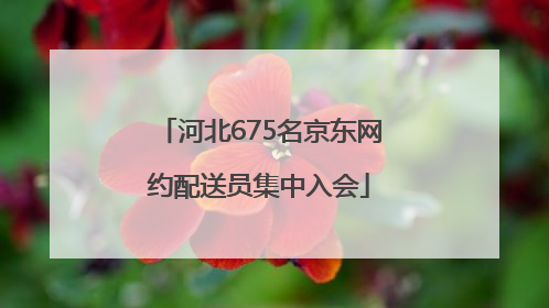 河北675名京东网约配送员集中入会