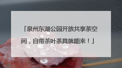 泉州东湖公园开放共享茶空间，自带茶叶茶具就能来！