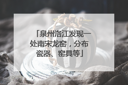 泉州洛江发现一处南宋龙窑，分布瓷器、窑具等