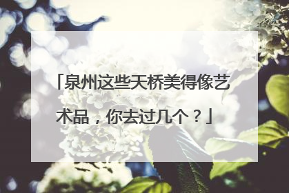 泉州这些天桥美得像艺术品，你去过几个？