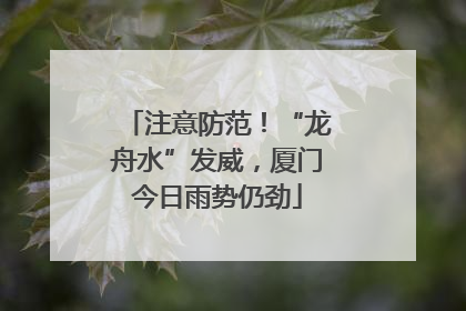 注意防范！“龙舟水”发威，厦门今日雨势仍劲