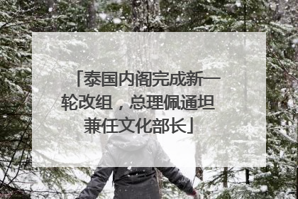 泰国内阁完成新一轮改组，总理佩通坦兼任文化部长