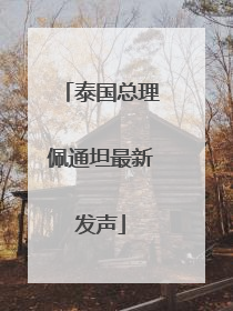 泰国总理佩通坦最新发声