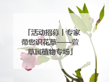 活动招募丨专家带您识花草——萱草属植物专场