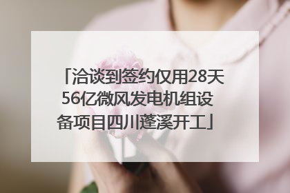 洽谈到签约仅用28天 56亿微风发电机组设备项目四川蓬溪开工