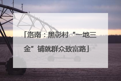 洛南：黑彰村“一地三金”铺就群众致富路