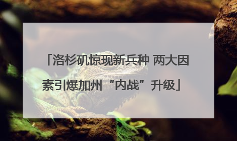 洛杉矶惊现新兵种 两大因素引爆加州“内战”升级