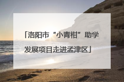 洛阳市“小青柑”助学发展项目走进孟津区
