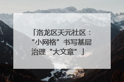 洛龙区天元社区：“小网格”书写基层治理“大文章”