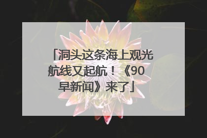 洞头这条海上观光航线又起航！《90早新闻》来了