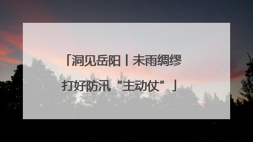 洞见岳阳丨未雨绸缪 打好防汛“主动仗”
