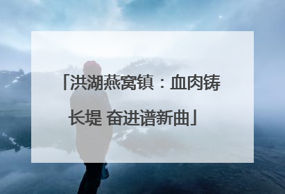洪湖燕窝镇：血肉铸长堤 奋进谱新曲