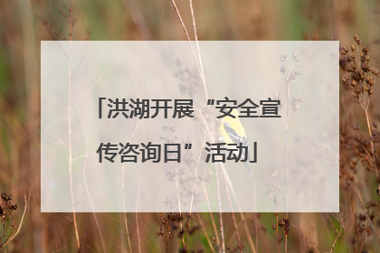 洪湖开展“安全宣传咨询日”活动