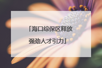 海口综保区释放强劲人才引力