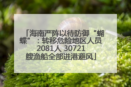 海南严阵以待防御“蝴蝶”：转移危险地区人员2081人 30721艘渔船全部进港避风