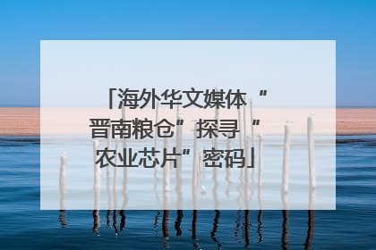 海外华文媒体“晋南粮仓”探寻“农业芯片”密码