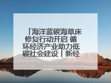 海洋蓝碳海草床修复行动开启 循环经济产业助力低碳社会建设丨新经济观察