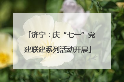 济宁：庆“七一”党建联建系列活动开展