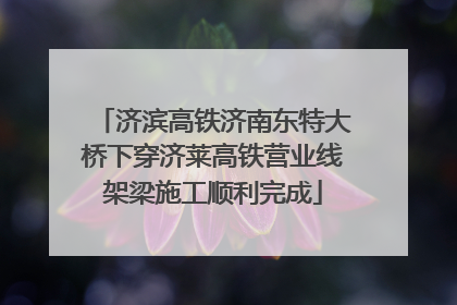 济滨高铁济南东特大桥下穿济莱高铁营业线架梁施工顺利完成