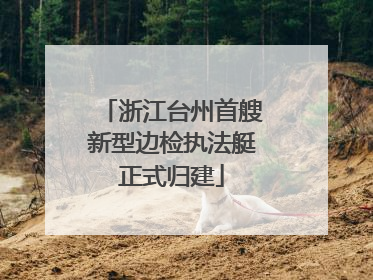 浙江台州首艘新型边检执法艇正式归建