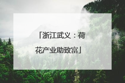 浙江武义：荷花产业助致富