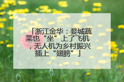 浙江金华：婺城蔬菜也“坐”上了飞机，无人机为乡村振兴插上“翅膀”