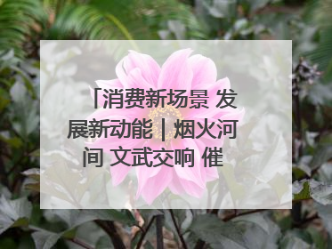 消费新场景 发展新动能｜烟火河间 文武交响 催生“美食+文化”消费新场景