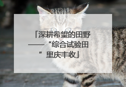 深耕希望的田野——“综合试验田”里庆丰收