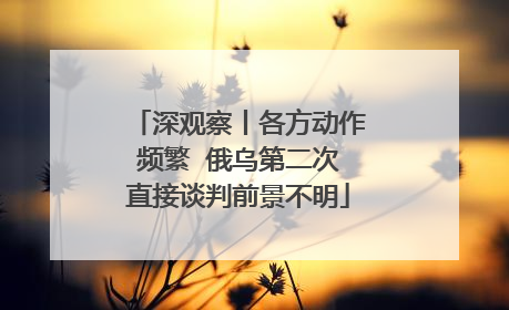 深观察丨各方动作频繁  俄乌第二次直接谈判前景不明