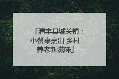 清丰县城关镇：小餐桌烹出 乡村养老新滋味