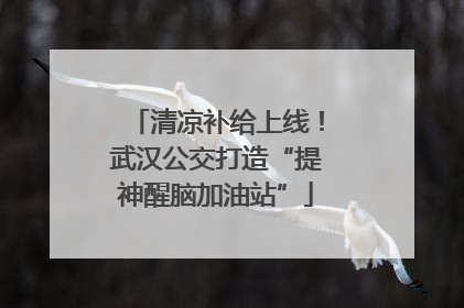 清凉补给上线！武汉公交打造“提神醒脑加油站”