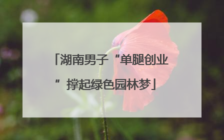 湖南男子“单腿创业”撑起绿色园林梦