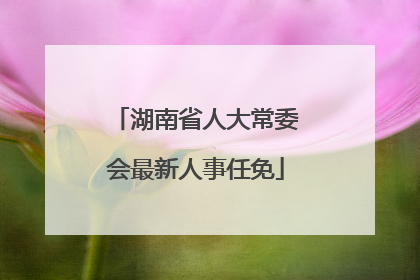 湖南省人大常委会最新人事任免