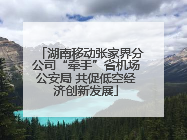 湖南移动张家界分公司“牵手”省机场公安局 共促低空经济创新发展