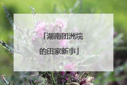 湖南团洲垸的田家新事