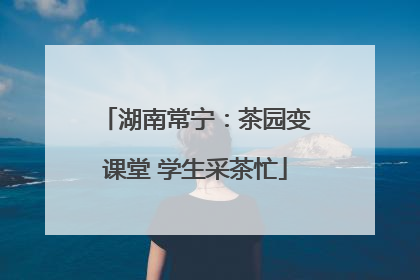 湖南常宁：茶园变课堂 学生采茶忙