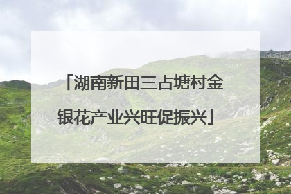 湖南新田三占塘村金银花产业兴旺促振兴