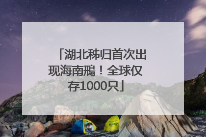 湖北秭归首次出现海南鳽！全球仅存1000只
