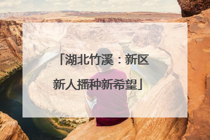 湖北竹溪：新区新人播种新希望
