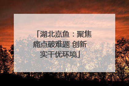 湖北嘉鱼：聚焦痛点破难题 创新实干优环境