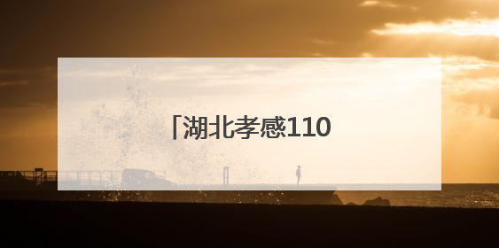 湖北孝感110，在变与不变中守护“万家安宁”