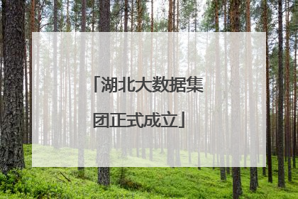 湖北大数据集团正式成立