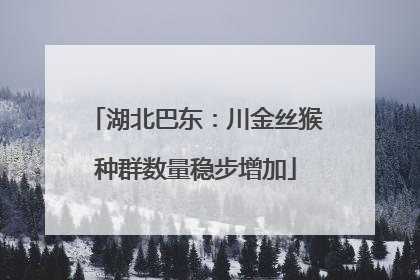 湖北巴东：川金丝猴种群数量稳步增加