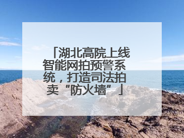 湖北高院上线智能网拍预警系统，打造司法拍卖“防火墙”