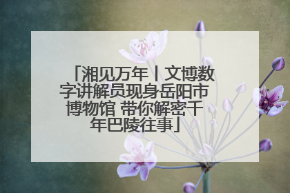湘见万年丨文博数字讲解员现身岳阳市博物馆 带你解密千年巴陵往事