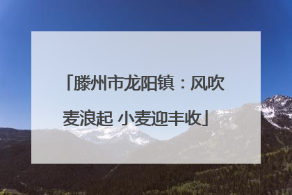 滕州市龙阳镇：风吹麦浪起 小麦迎丰收