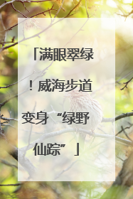 满眼翠绿！威海步道变身“绿野仙踪”